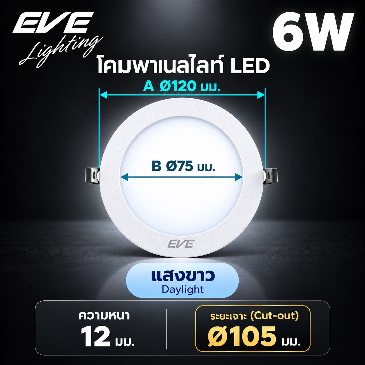 พาเนล 6W แสงขาว