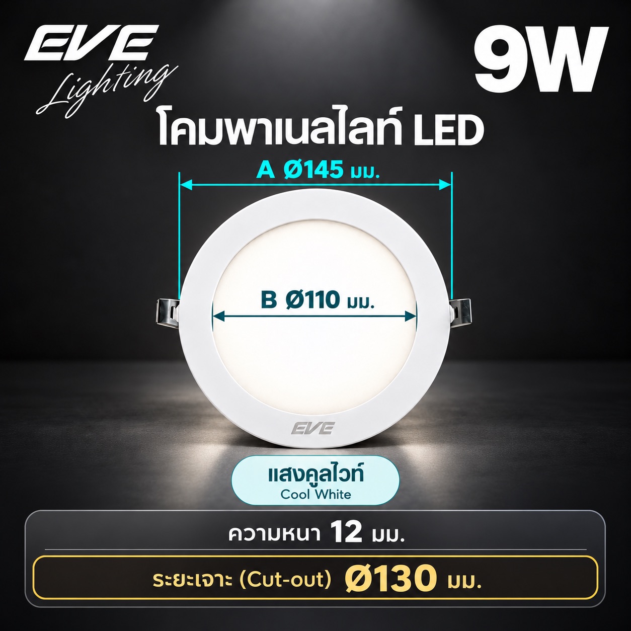 พาเนล 9W แสงคูล