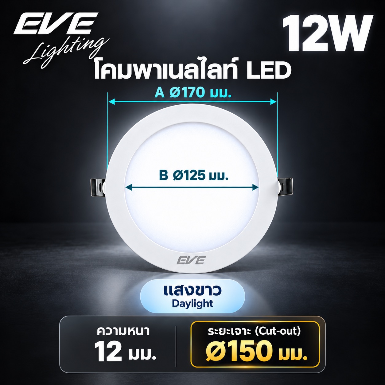 พาเนล 12W แสงขาว