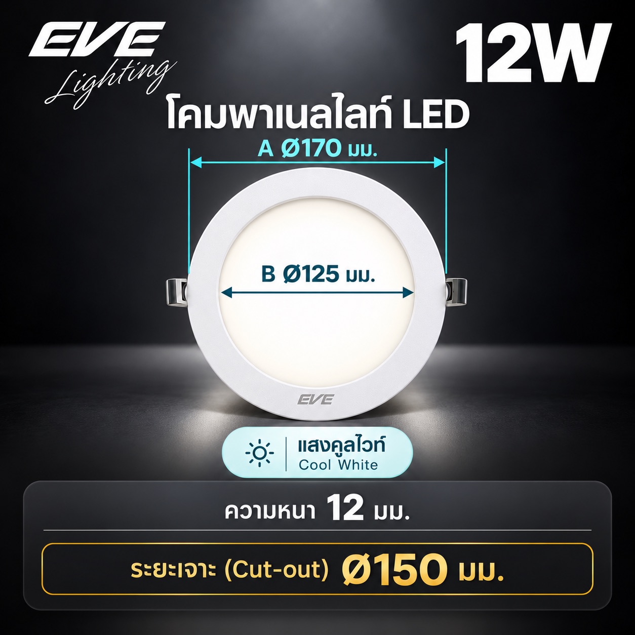 พาเนล 12W แสงคูล