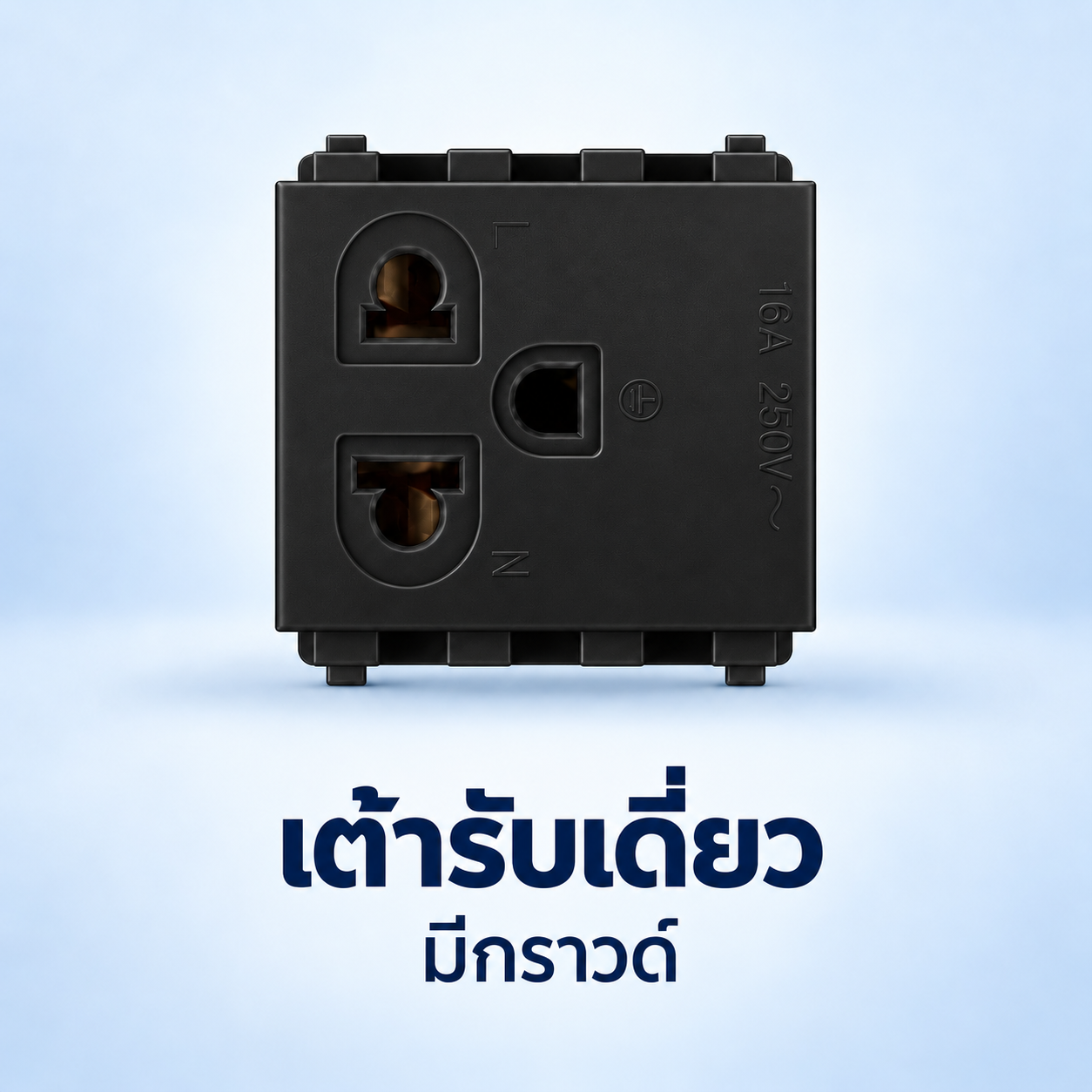 เต้ารับเดี่ยว 2 ช่อง