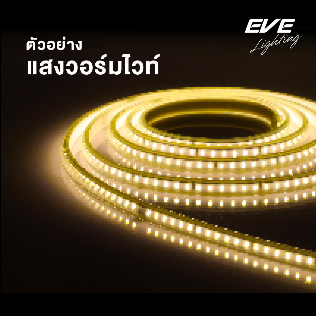 ไฟเส้น 50 เมตร แสงเหลือง