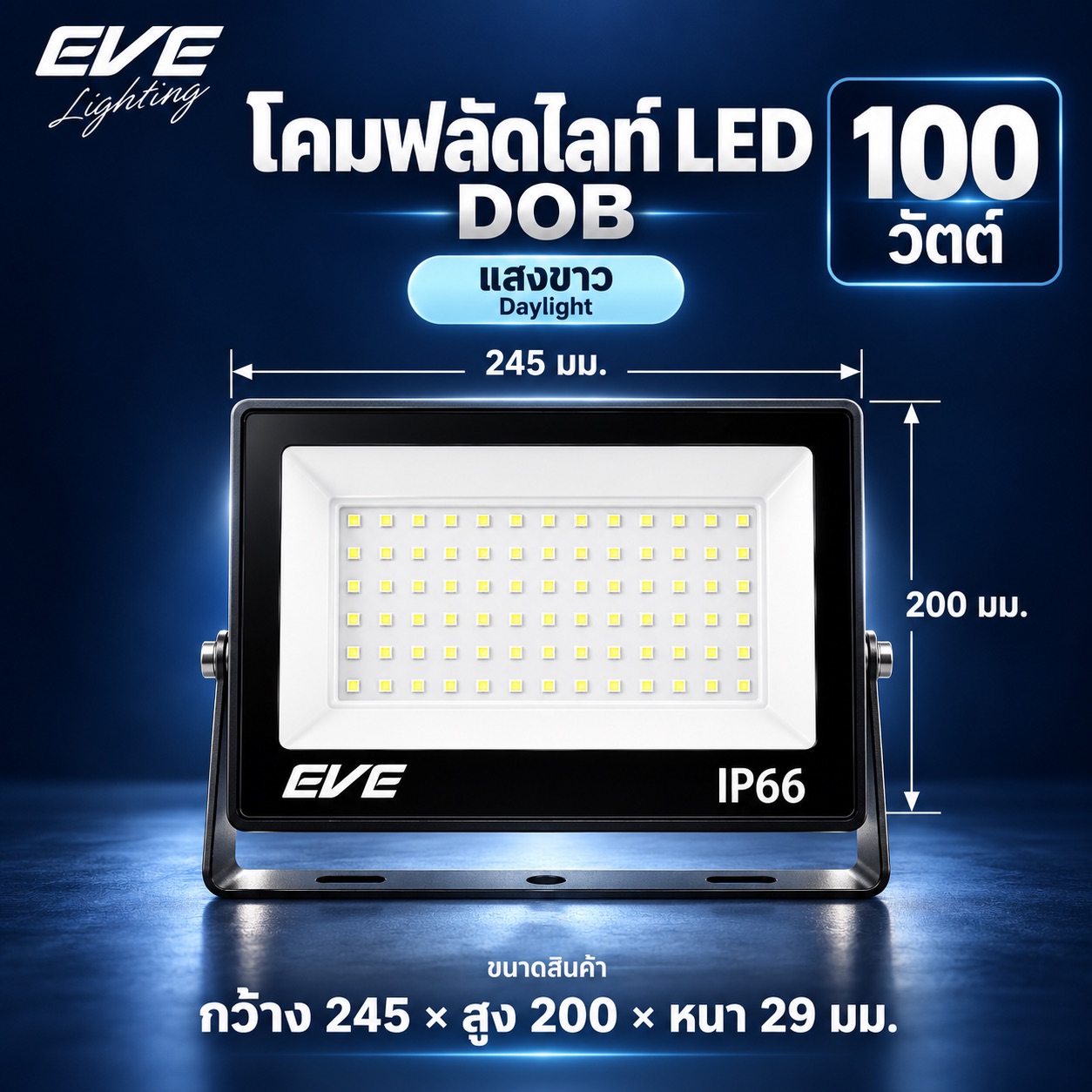 100W แสงขาว